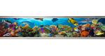 16.3" Stretched Bar Type IPS TFT LCD Display