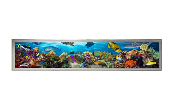 16.3" Stretched Bar Type IPS TFT LCD Display