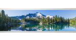 16.4" Stretched Bar Type IPS TFT LCD Display