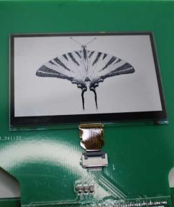 MIP Displays: Energy Efficiency Without Compromise
