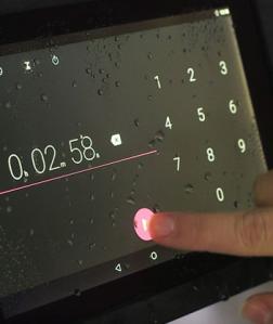 Custom Displays - Flexible, Robust and Accessible