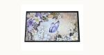 5.0" Transflective IPS-TFT Display
