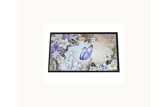 5.0" Transflective IPS-TFT Display