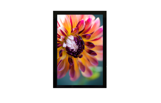 8.0" IPS TFT LCD Display MIPI interface + CTP