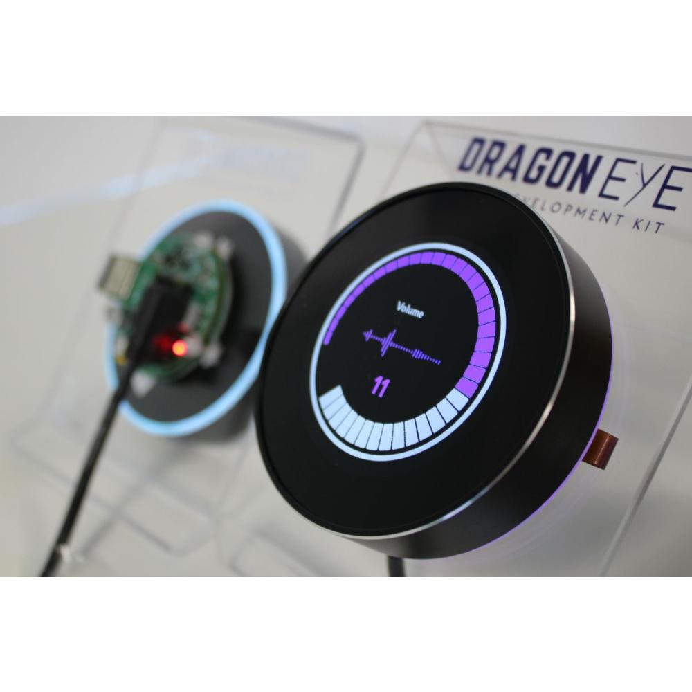 Rotary Encoder Displays