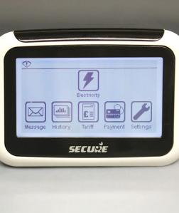 Connecting homes of the future with smart meters