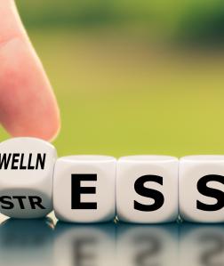 The Importance of Mental Wellbeing in the Workplace