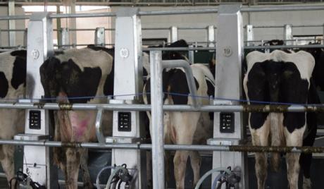 Challenges Developing LCD Displays for Farming