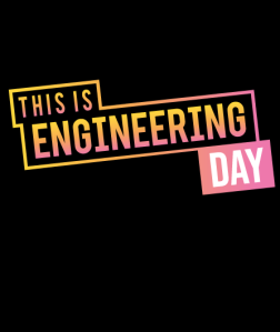 Engineering - the plight for accurate perception